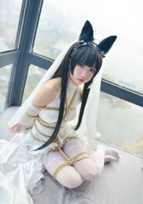 与敌同行 电视剧